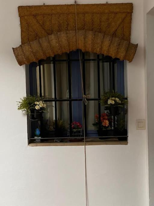 Hispalis Casa Pilatos เซบีญา ภายนอก รูปภาพ
